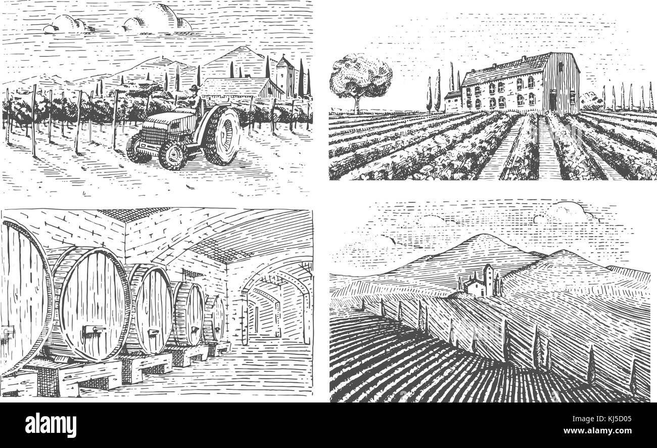 Paesaggio di vigneti, campi di toscana, vecchio cercando scratchboard o tatuaggio stile per menu e segnaletica nel bar. incisi disegnati a mano nel vecchio sketch, in stile vintage per etichetta o t-shirt. Illustrazione Vettoriale