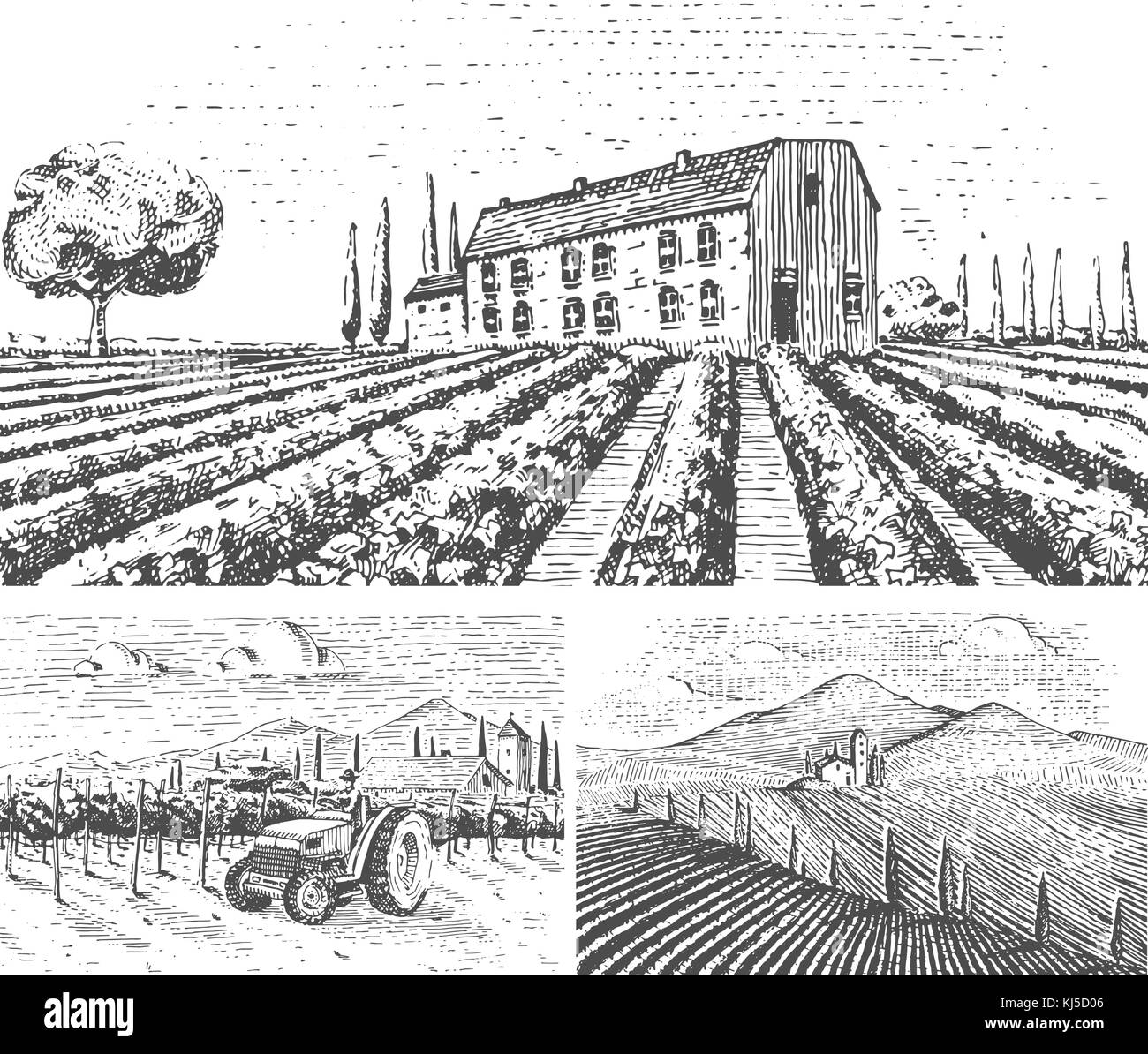 Paesaggio di vigneti, campi di toscana, vecchio cercando scratchboard o tatuaggio stile per menu e segnaletica nel bar. incisi disegnati a mano nel vecchio sketch, in stile vintage per etichetta o t-shirt. Illustrazione Vettoriale