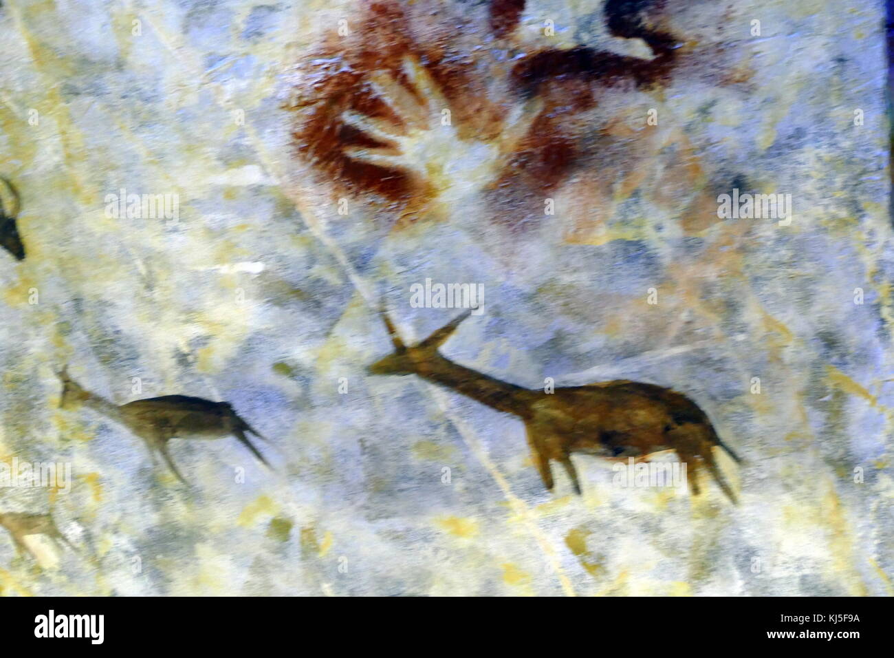 Pittura rupestre trovata nella Grotta di Altamira, situato in Cantabria, Spagna, risalente al Paleolitico Superiore periodo. Foto Stock