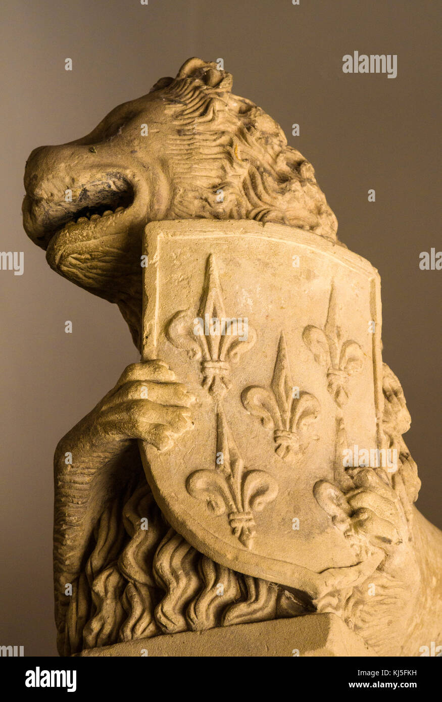 Un leone azienda uno scudo scolpito dettaglio in Salamanca Foto Stock