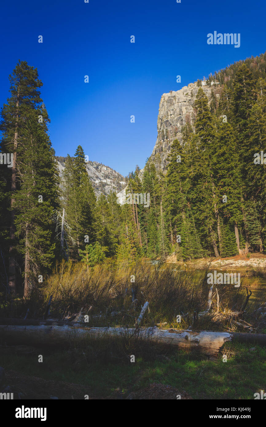 Albero caduto vicino alla forcella di marmo kaweah fiume con una montagna in background lungo la tokopah Valley Trail, Sequoia National Park, California Foto Stock