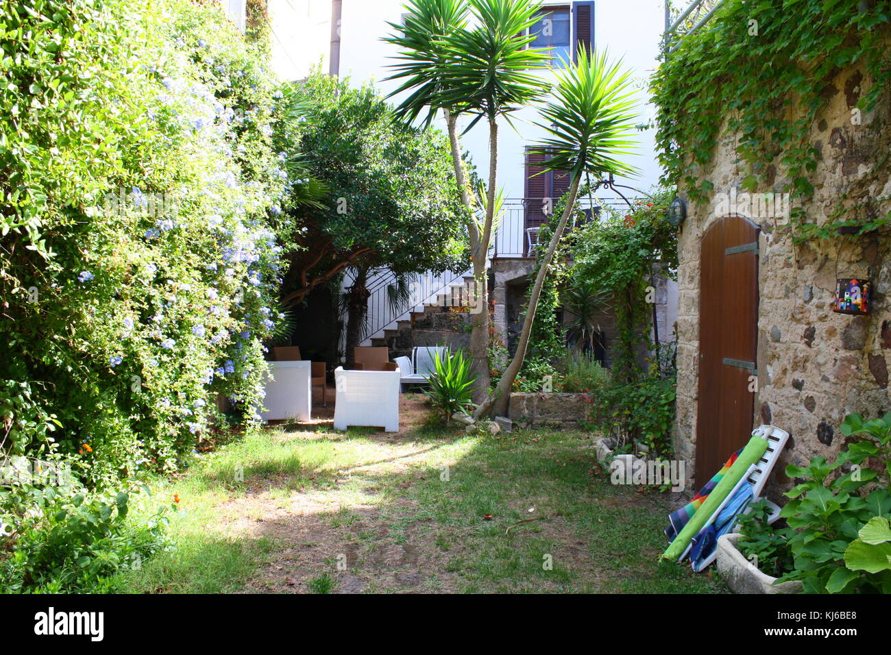 Un accogliente cortile privato con giardino con piante verdi e alberi di palma. Foto Stock