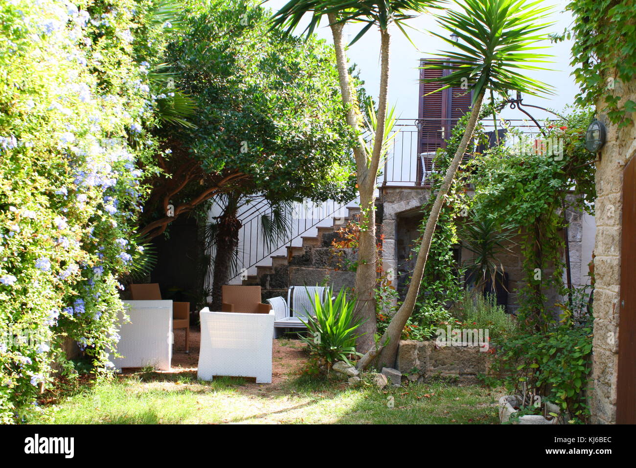 Un accogliente cortile privato con giardino con piante verdi e alberi di palma. Foto Stock