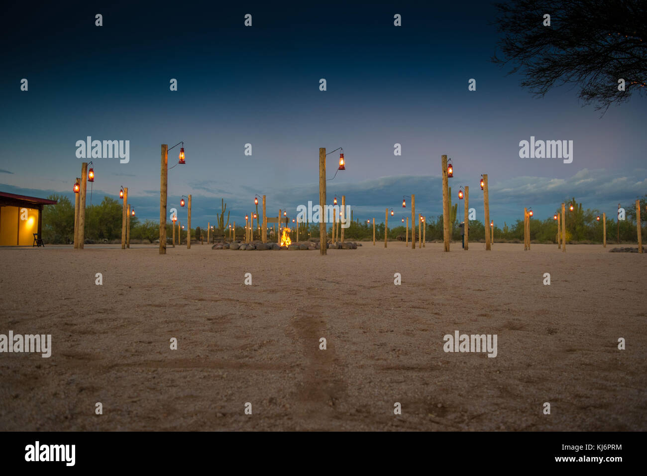 Deserto il fuoco sotto il cielo notturno Foto Stock