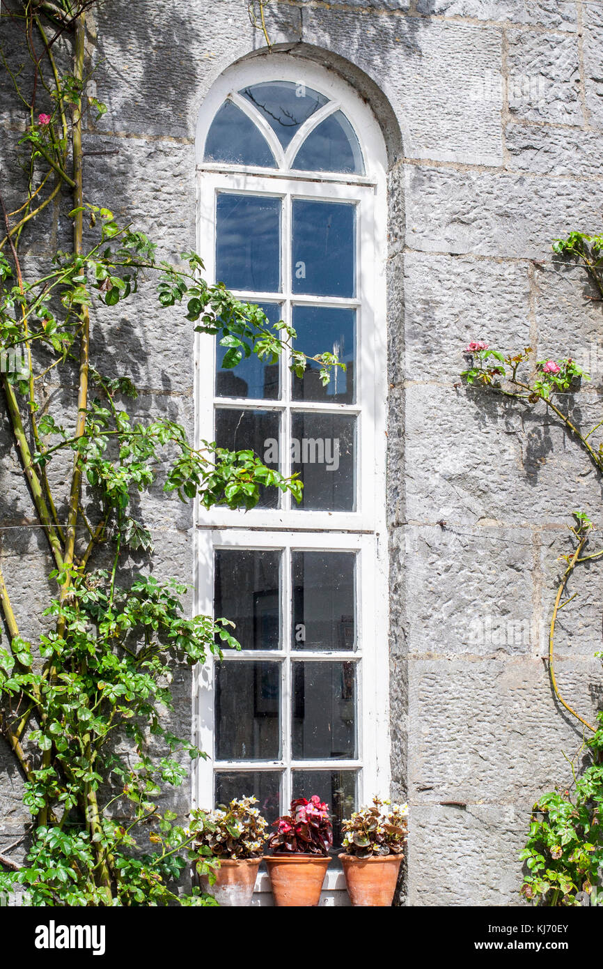 In stile georgiano alta e stretta finestra lancet con più riquadri, Birr Castle, Offaly Irlanda Foto Stock