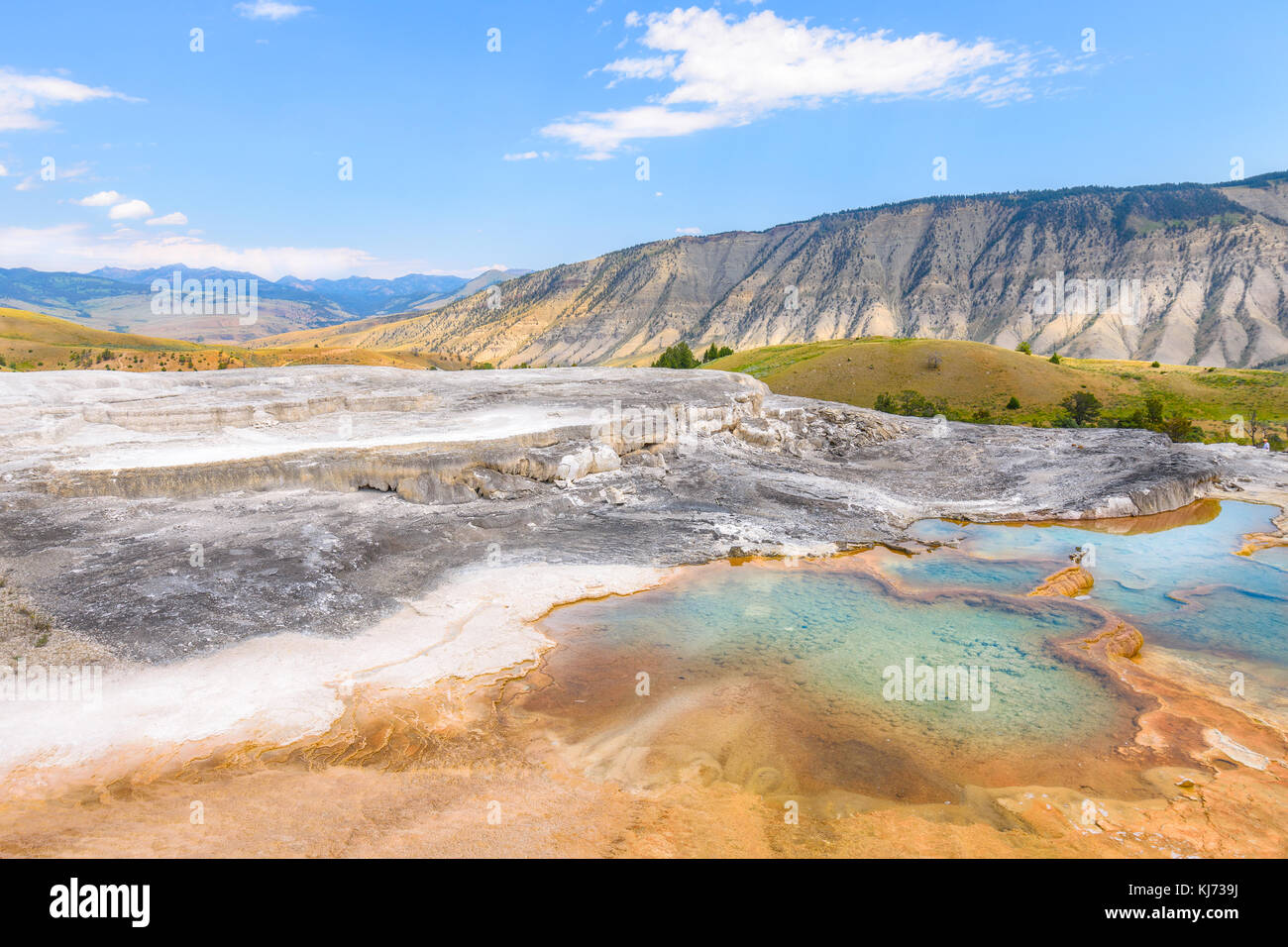Minerali piscine calde del parco nazionale di Yellowstone. Mammoth Hot Springs area. Foto Stock