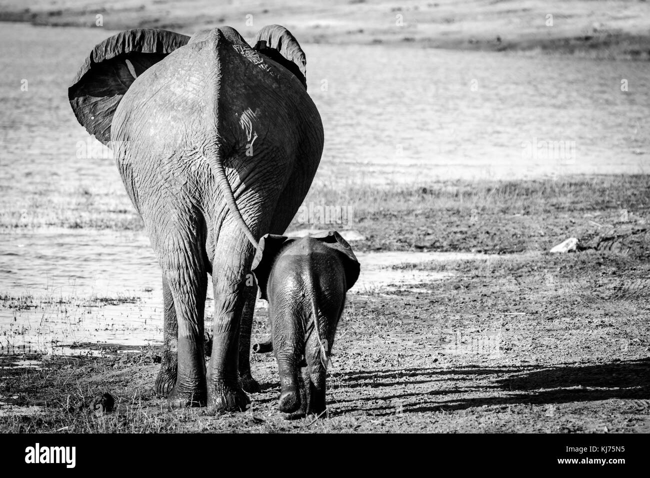 Al di fuori della vasca da bagno Foto Stock