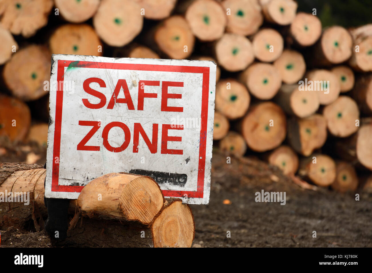 Zona sicura segnaletica in corrispondenza di un sito di registrazione che fornisce una guida per i lavoratori e per i visitatori di evitare la normale on-site pericoli. Foto Stock