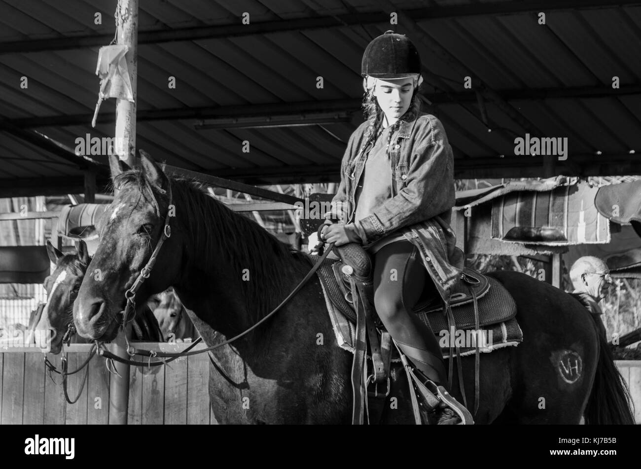 Ragazza adolescente di equitazione, della Galilea, Israele Foto Stock