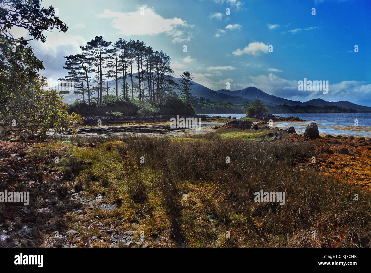 La costa vicino Lauragh sulla penisola di Beara, Contea di Kerry, Irlanda - John Gollop Foto Stock