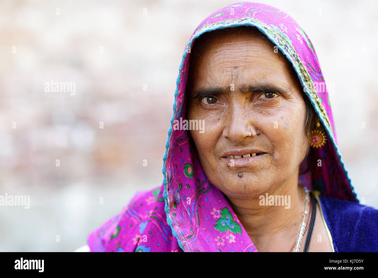 Il sambuco Rabari donna rosa da indossare il velo ed il Rajasthan, India. Foto Stock