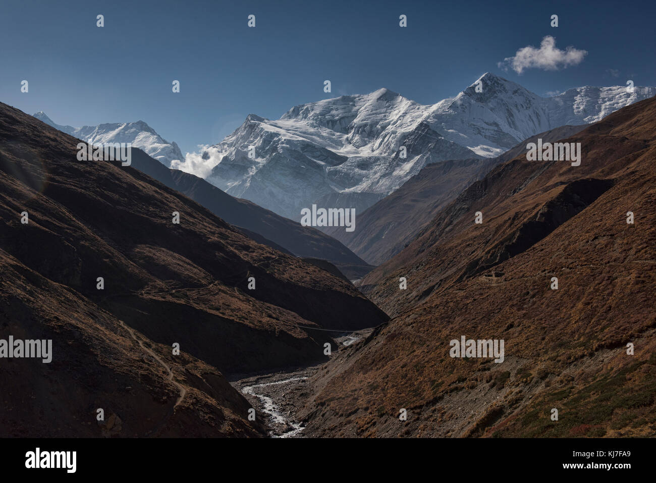 Annapurna iii e gangapurna, visto da di yak kharka, circuito di Annapurna, Nepal Foto Stock