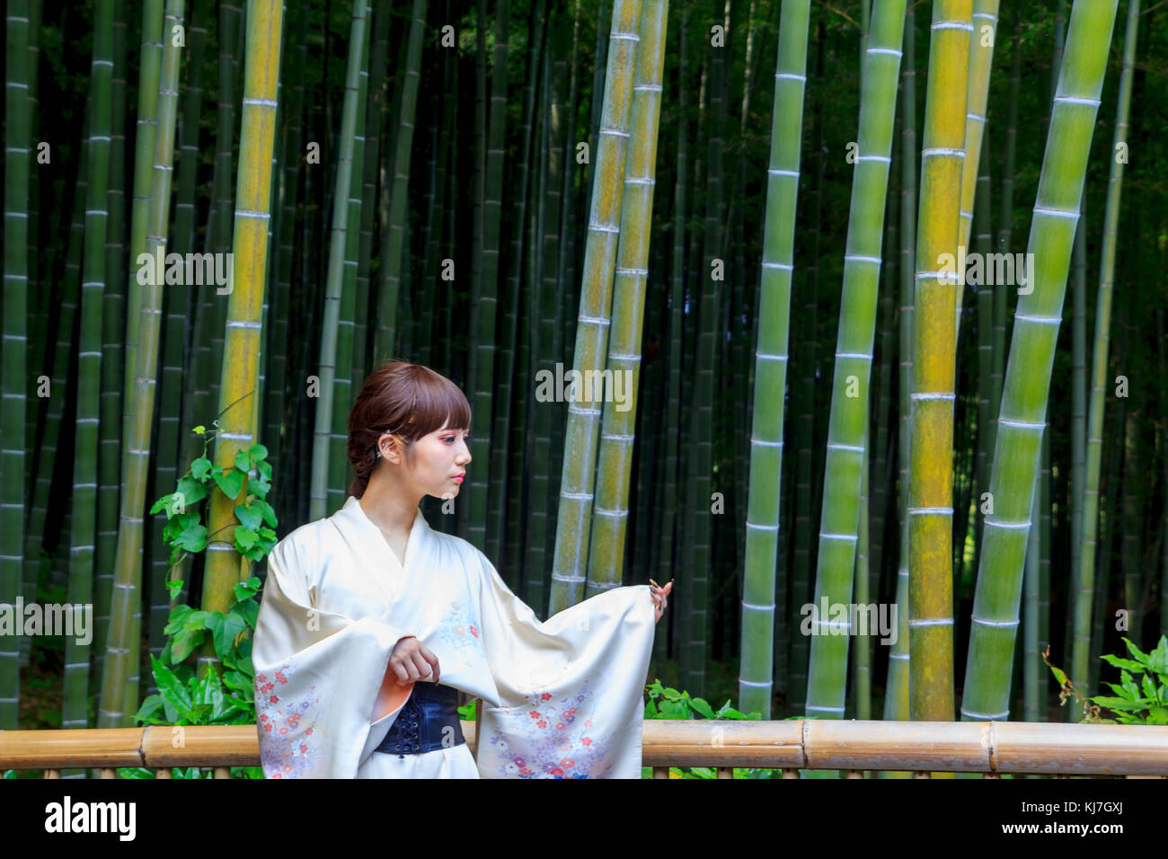 Giapponese giovane donna in kimono, di fronte a una foresta di bamboo a Kyoto, Giappone Foto Stock