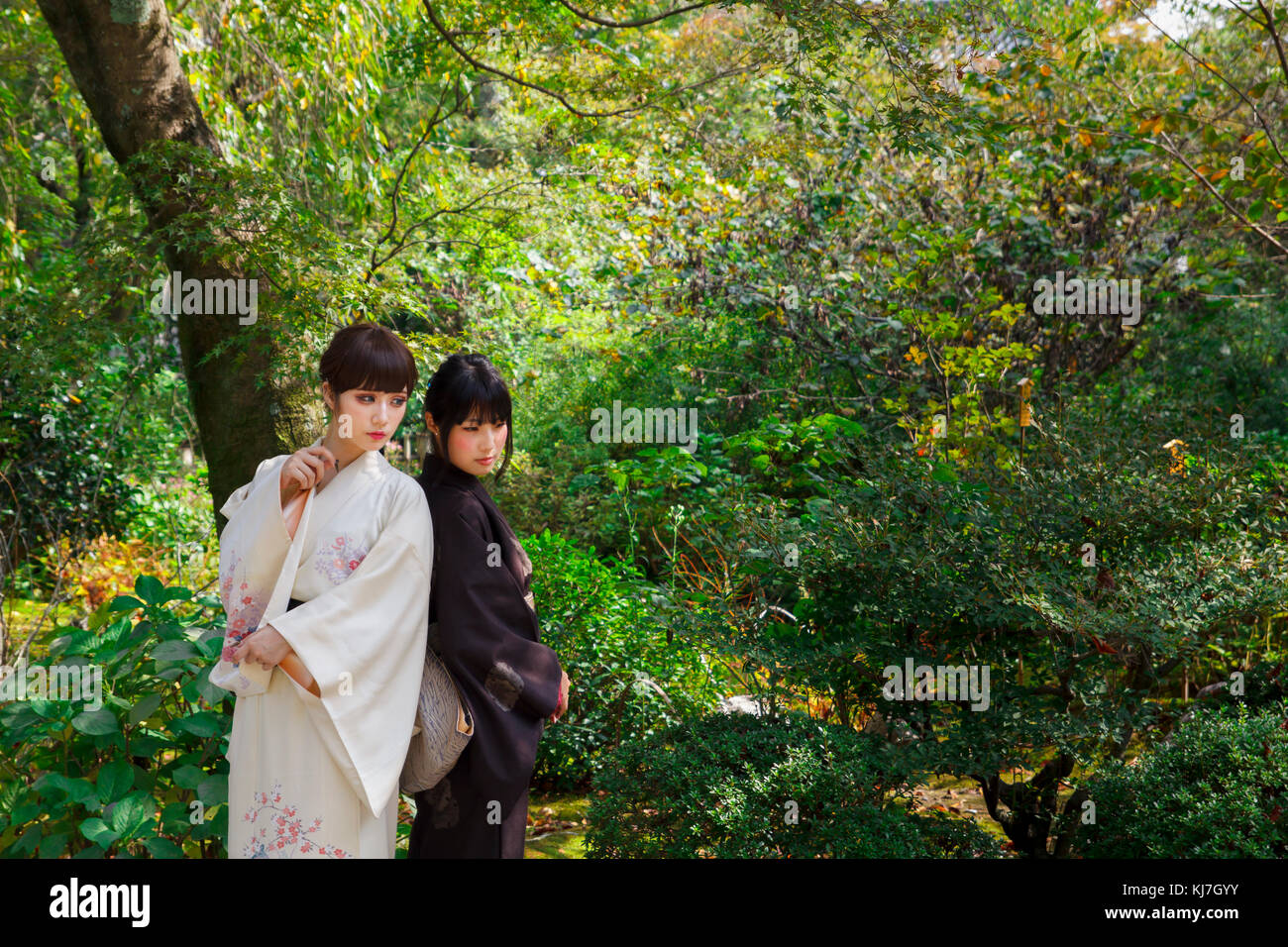I giovani giapponesi womans in kimono, in piedi di schiena a Kyoto, Giappone Foto Stock