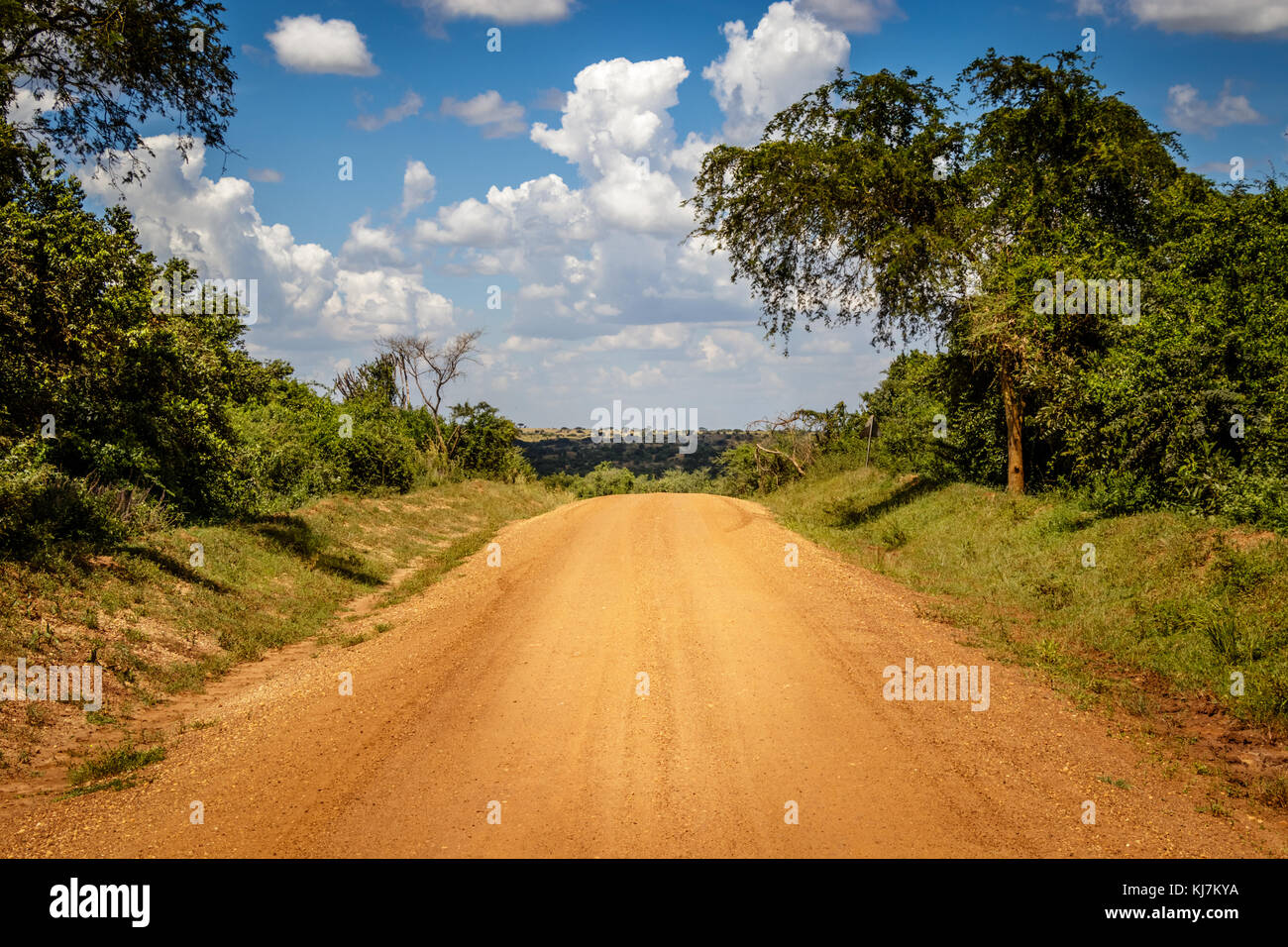 Molto tipico di strada sterrata con un bellissimo cielo usata per safari in Murchison Falls National Park in Uganda. trivellazione petrolifera sarà presto svolgerà in nearb Foto Stock