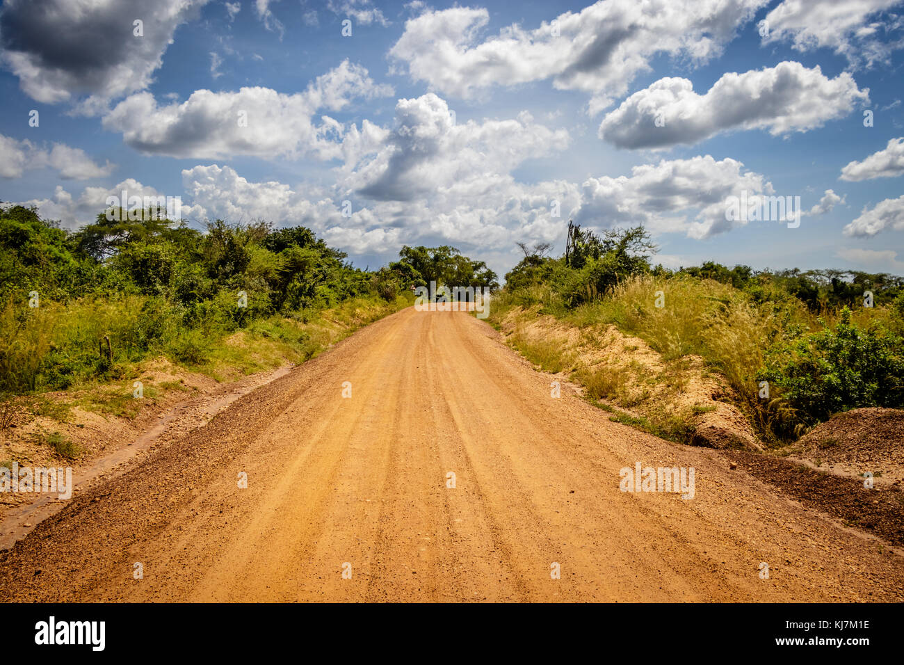 Molto tipico di strada sterrata con un bellissimo cielo usata per safari in Murchison Falls National Park in Uganda. trivellazione petrolifera sarà presto svolgerà in nearb Foto Stock