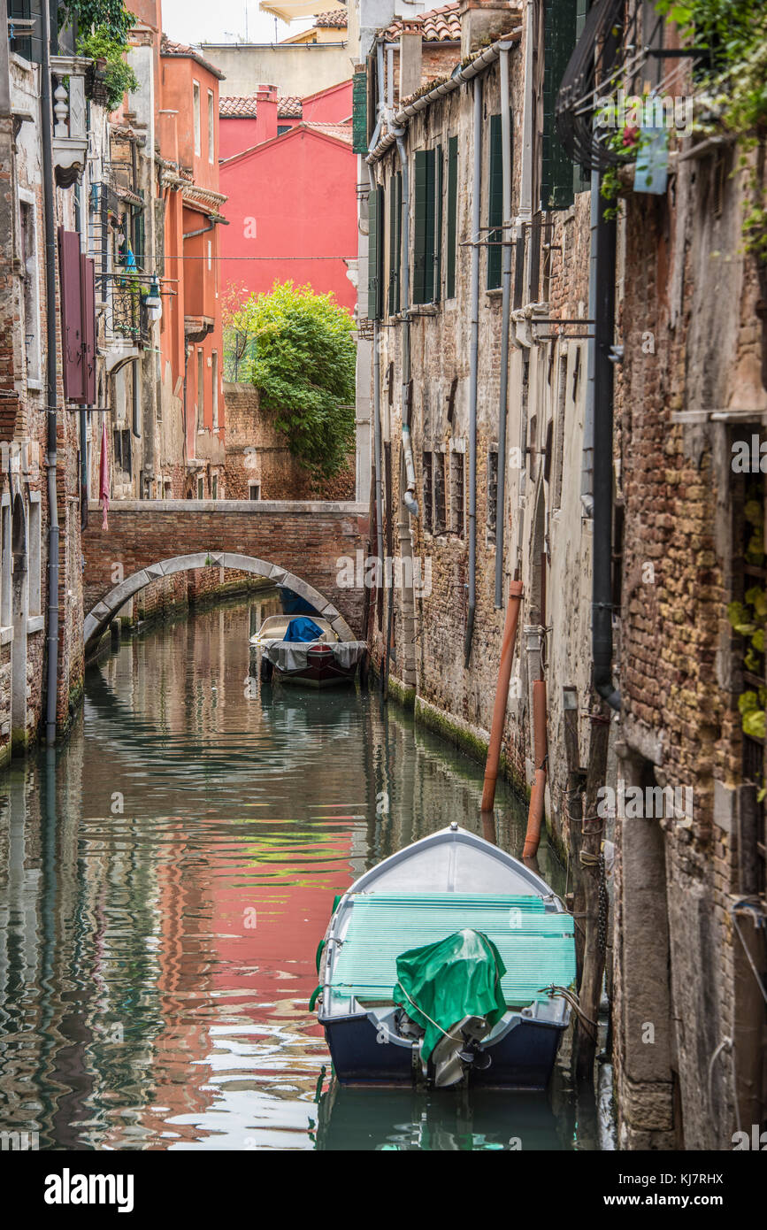 Barche ormeggiate accanto alle case su uno stretto canale con un ponte e un albero in background, Venezia Foto Stock