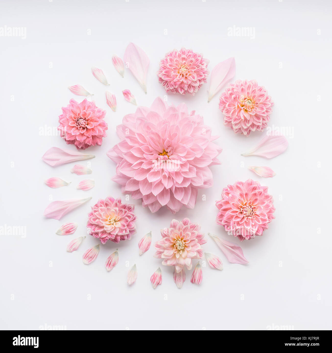Round rosa pallido composizione di fiori con petali di colore bianco su  sfondo per il desktop, piatto di laici che, vista dall'alto. creative  layout floreali o biglietto di auguri per le mamme