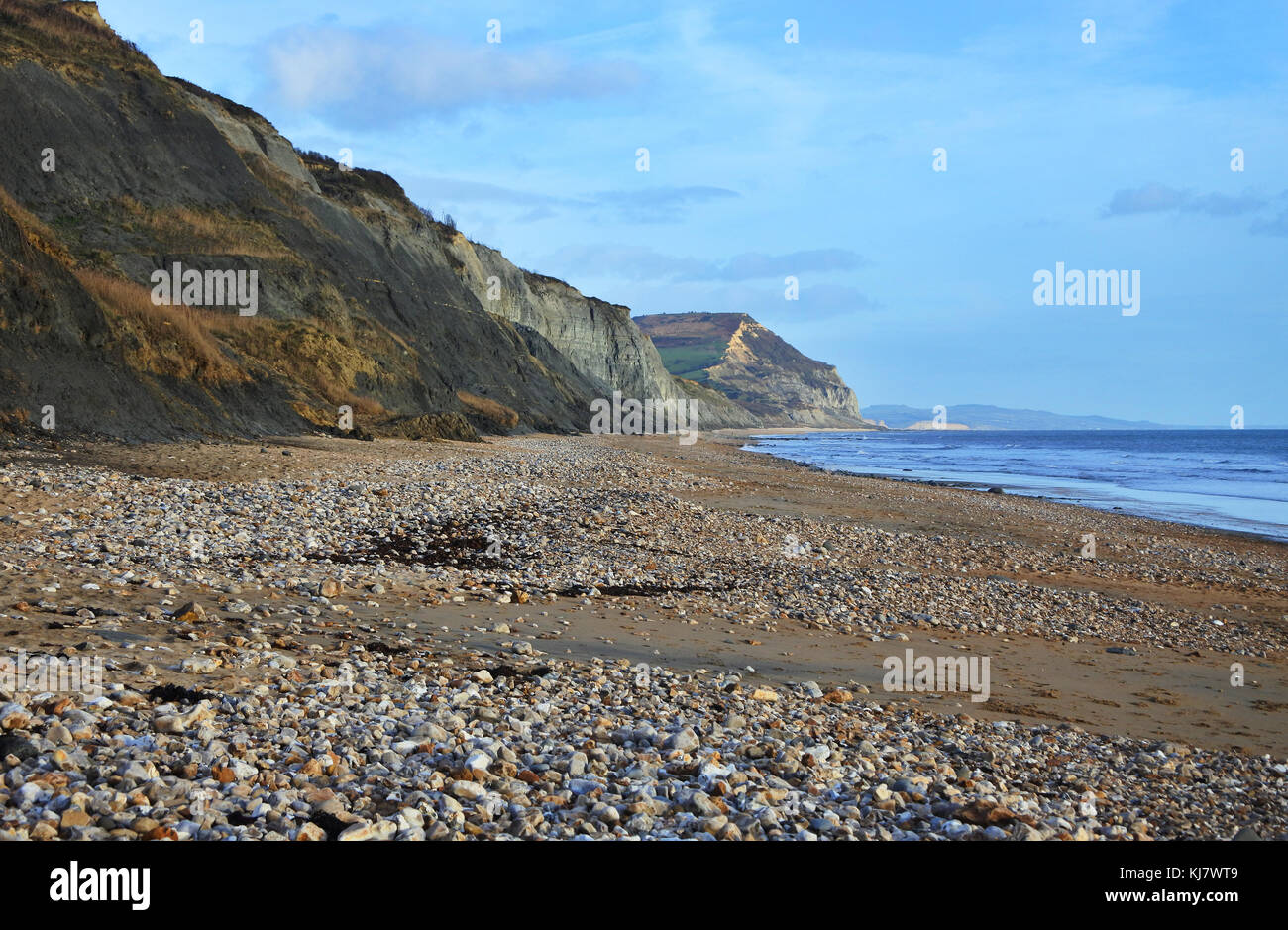 La costa del Dorset guardando a est da Charmouth, Regno Unito - John Gollop Foto Stock