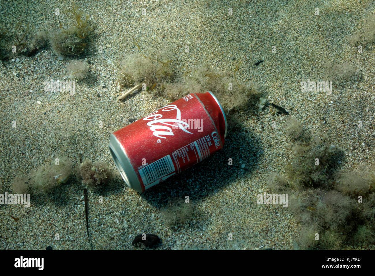 Coca Cola può sul letto del mare, Stegna, Archangelos, RODI, DODECANNESO isole, Grecia. Foto Stock