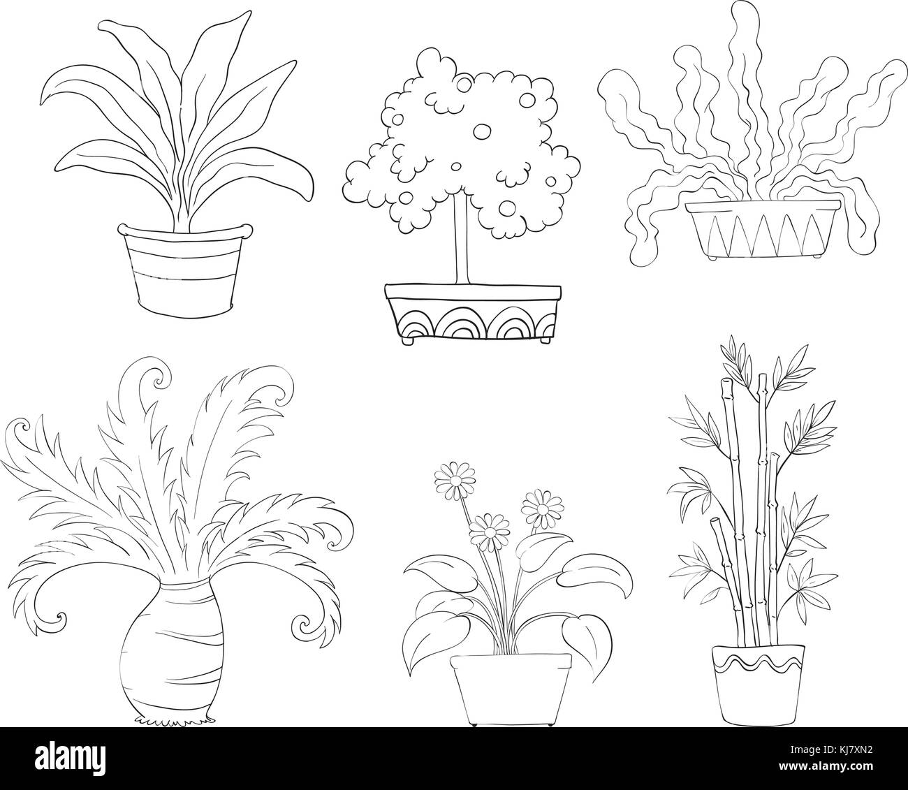 Illustrazione dei sei diversi tipi di piante su sfondo bianco Illustrazione Vettoriale