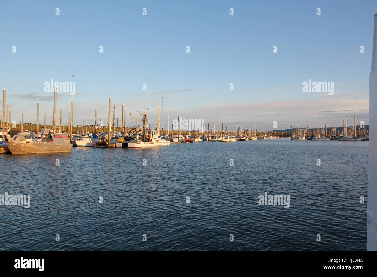 Trawler barche di nascita in porto alla fine di Homer Spit, Kenai, Alaska Foto Stock