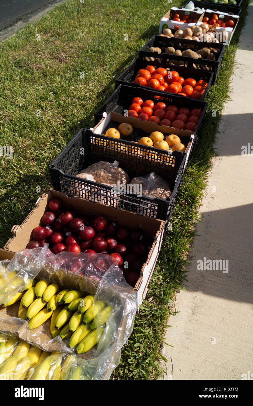 Una selezione di frutta e verdura disponibile da un viaggio mercato ortofrutticolo. Foto Stock