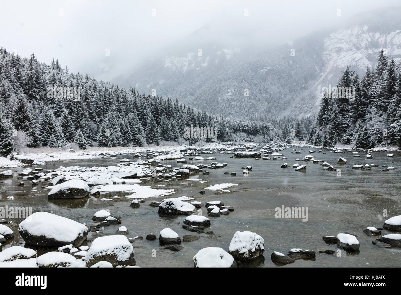Neve che cade sul fiume Chilkoot in Alaska sud-orientale. Foto Stock