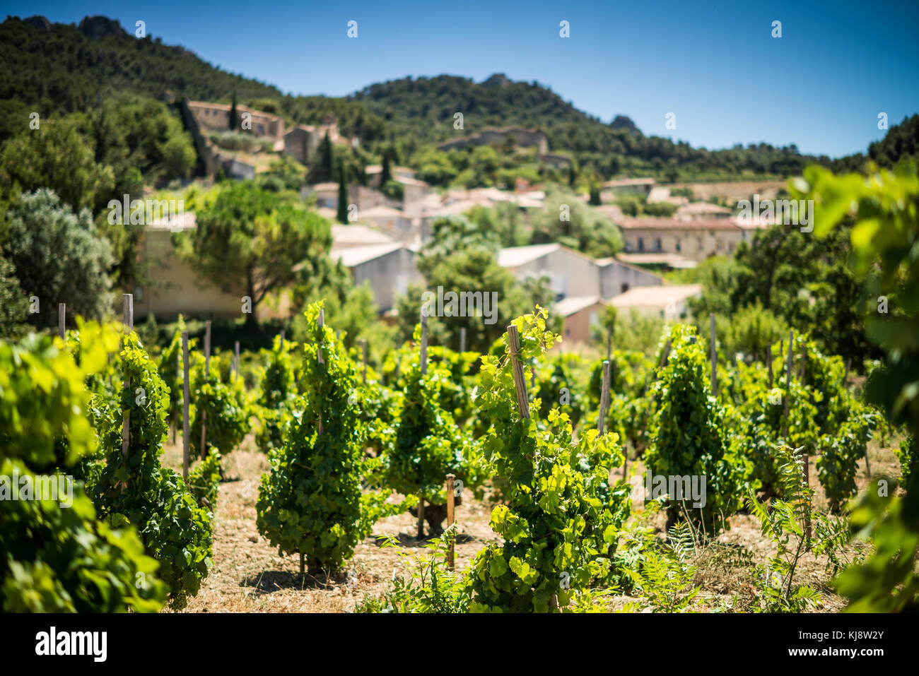 Villaggio storico di Gigondas, Cotes du Rhone, Provenza, Francia Foto Stock