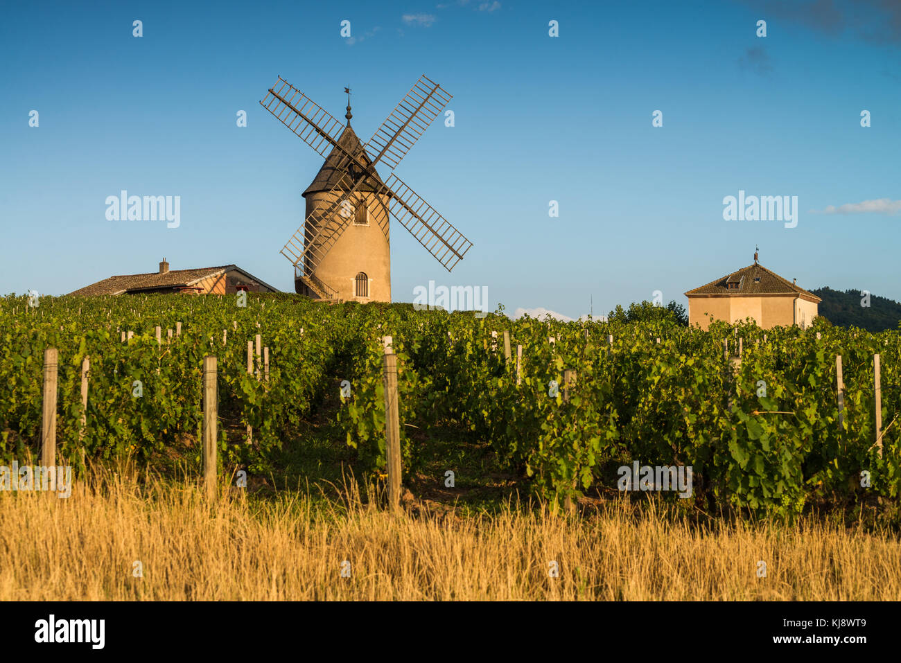 Mulino a vento nei pressi di chenas, Borgogna, in Francia, in Europa. Foto Stock