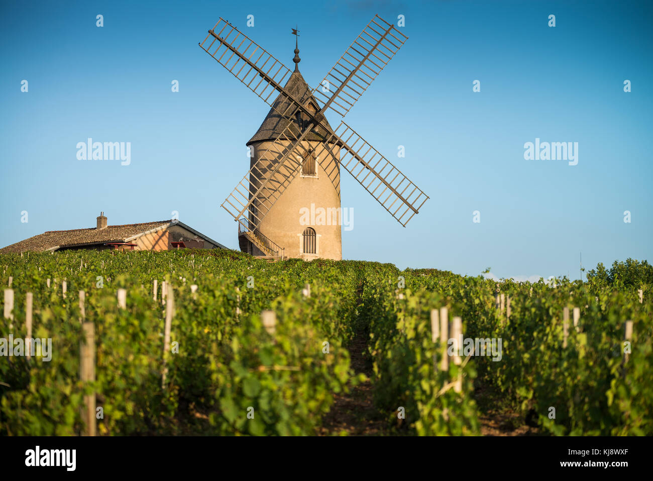 Mulino a vento nei pressi di chenas, Borgogna, in Francia, in Europa. Foto Stock