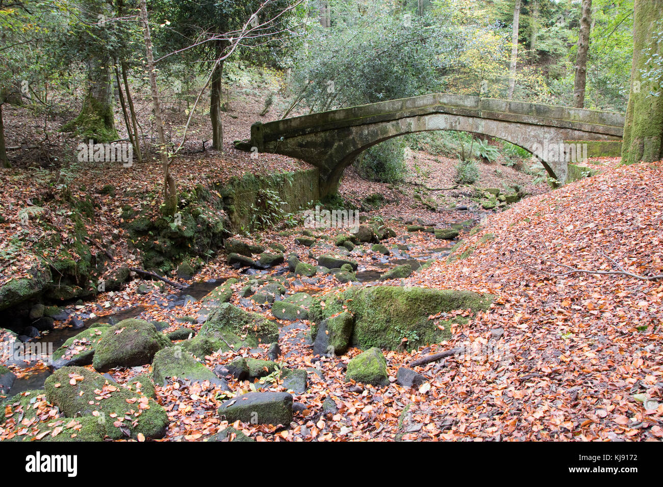 Sheffield, Regno Unito - 28 Ott: Tinker Brook passa sotto il ponte packhorse coperti in caduta foglie di autunno il 28 Ott 2016 a Glen Howe Park Foto Stock