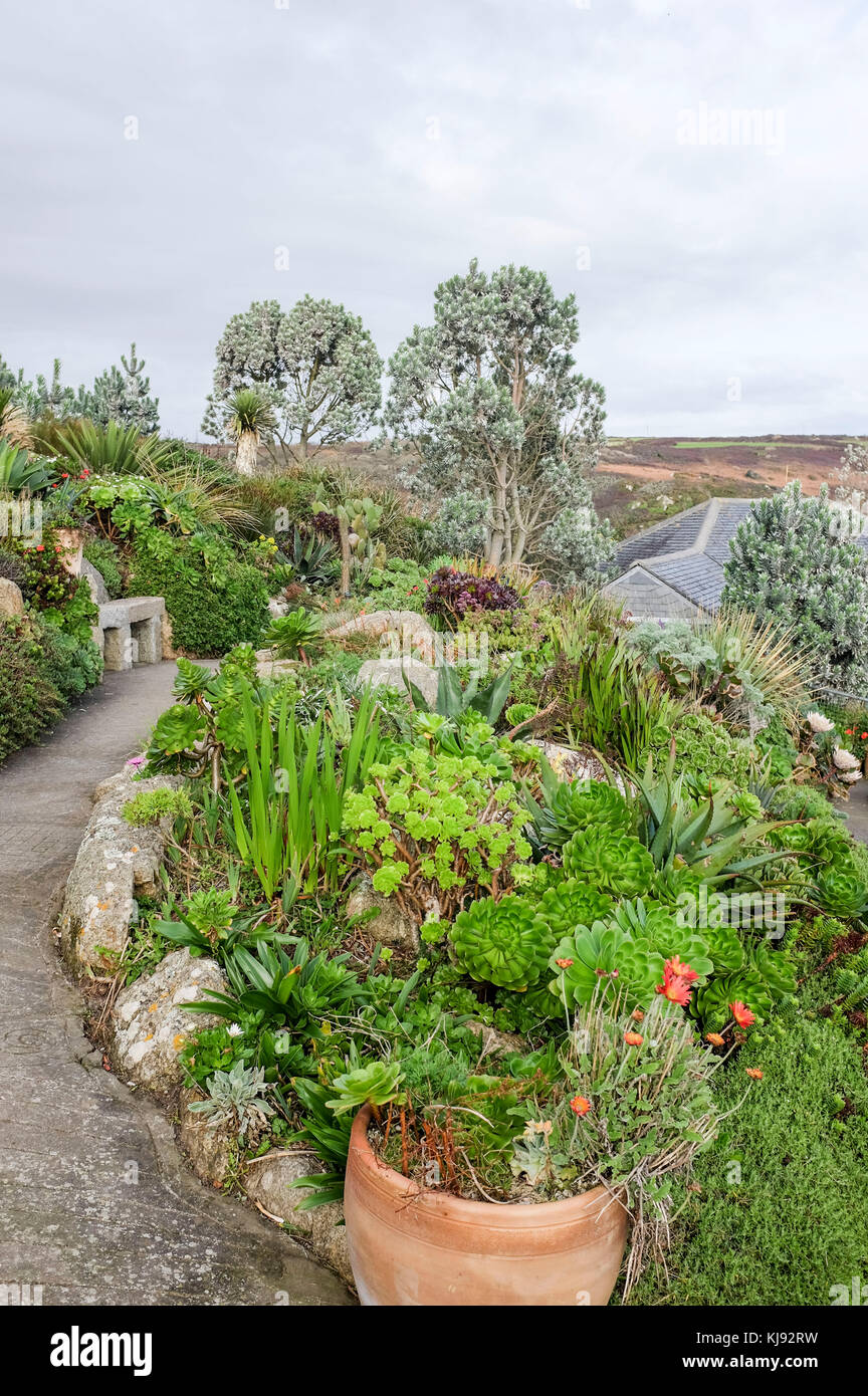 I giardini rocciosi del Minack Theatre, costruiti nelle scogliere di Porthcurno in Cornovaglia, sono stati frutto di un'idea di Rowena Cade, Foto Stock