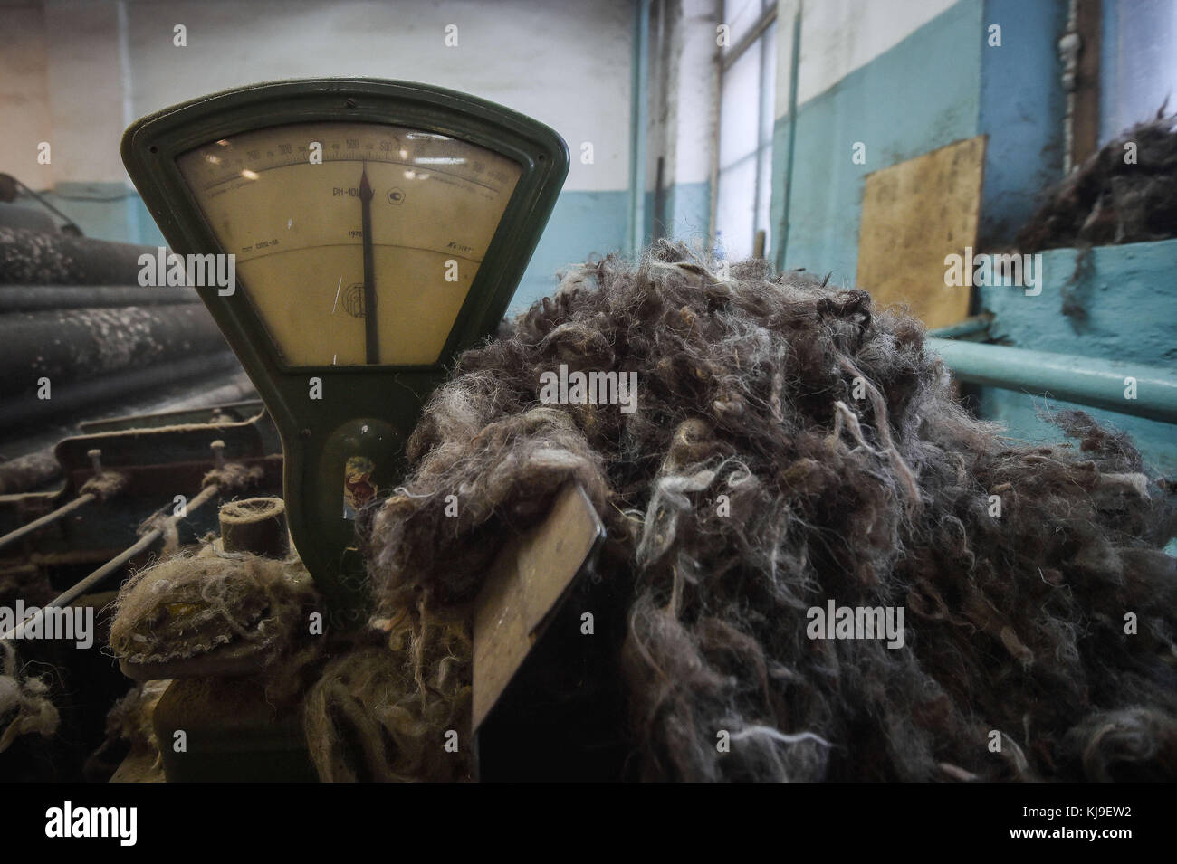 6 dicembre 2016 - Syktyvkar, Repubblica di Komi, Russia - la lana viene pesata in fabbrica..la produzione di calzature tradizionali russe fatte di lana presso la fabbrica di calzature di lana Vylgort. La fabbrica di calzature in lana Vylgort produce calzature da oltre 75 anni. (Immagine di credito: © Sergey Parshukov/SOPA tramite filo ZUMA) Foto Stock