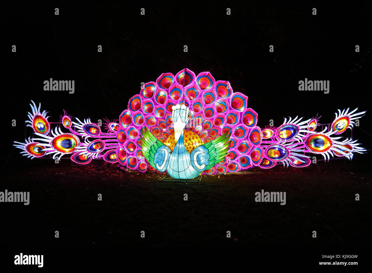 Londra, Regno Unito. 23 Nov, 2017. Lanterna Magica Festival, Chiswick House Gardens, Londra, Regno Unito, 23 novembre 2017, Foto di Richard Goldschmidt Credito: ricca di oro/Alamy Live News Foto Stock