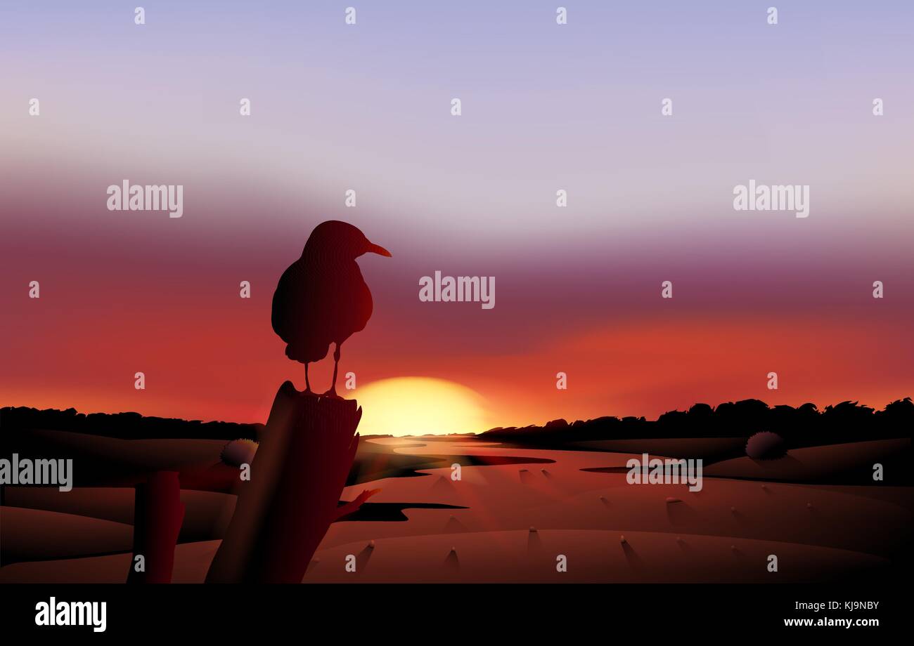 Illustrazione di un uccello in una vista al tramonto del deserto Illustrazione Vettoriale