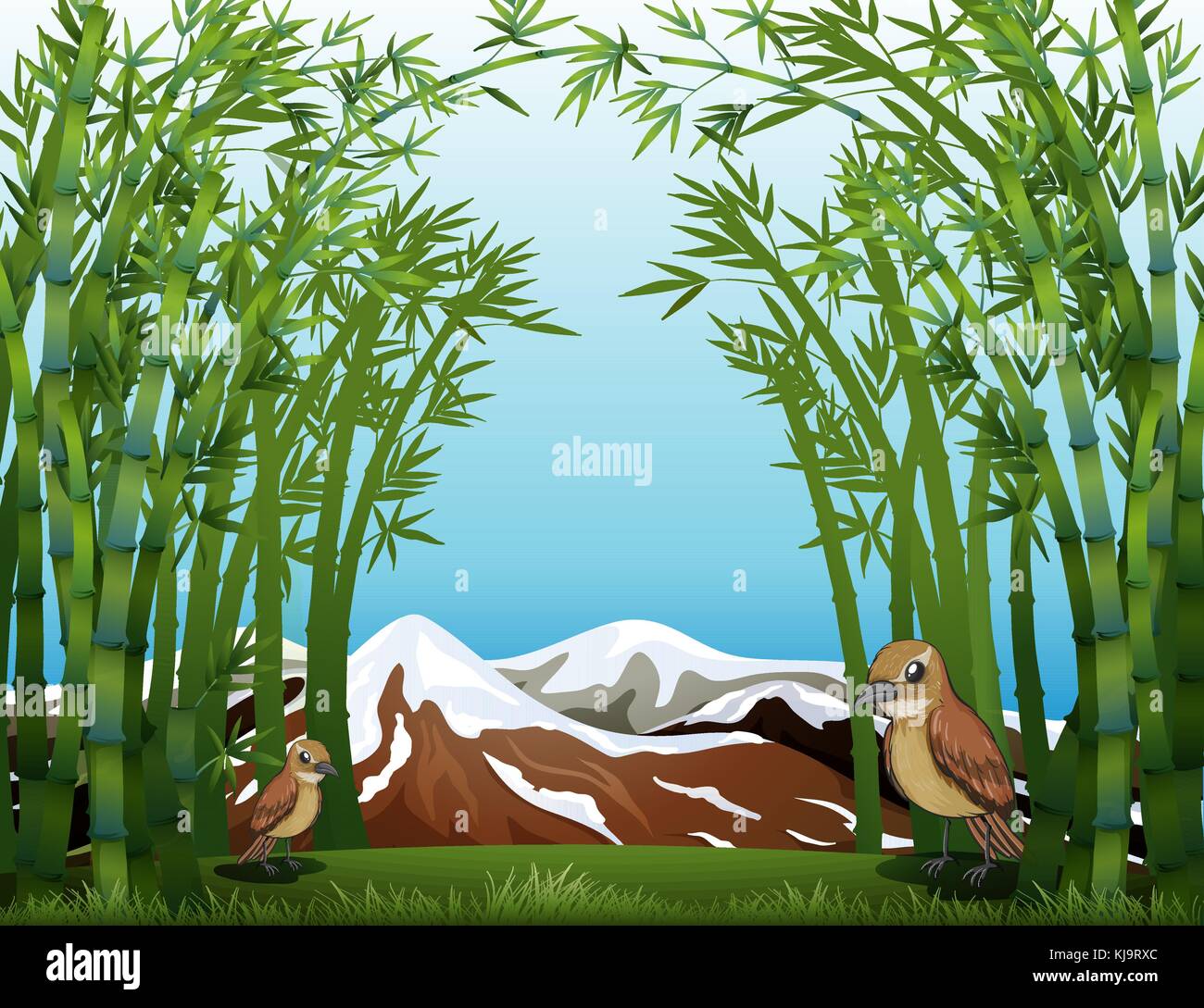 Illustrazione di una foresta di bamboo visualizza Illustrazione Vettoriale