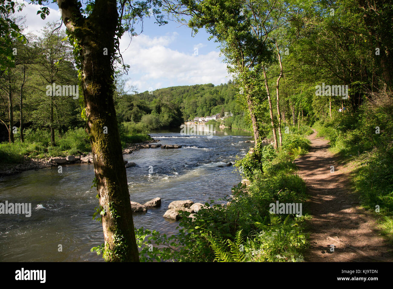 Vedute sul fiume a Symonds Yat, Wye Valley Foto Stock