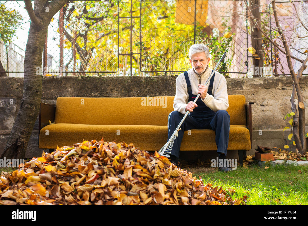 Stanco senior uomo prendendo il resto dalla pulizia caduto foglie di autunno in cantiere Foto Stock