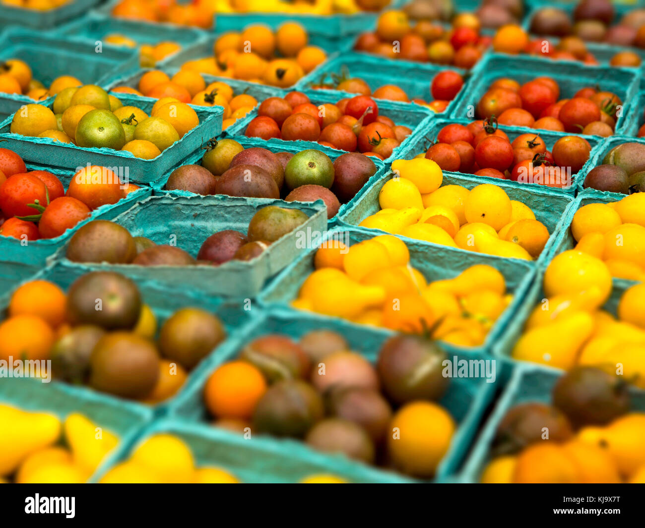 Pomodori organico da un mercato locale Foto Stock