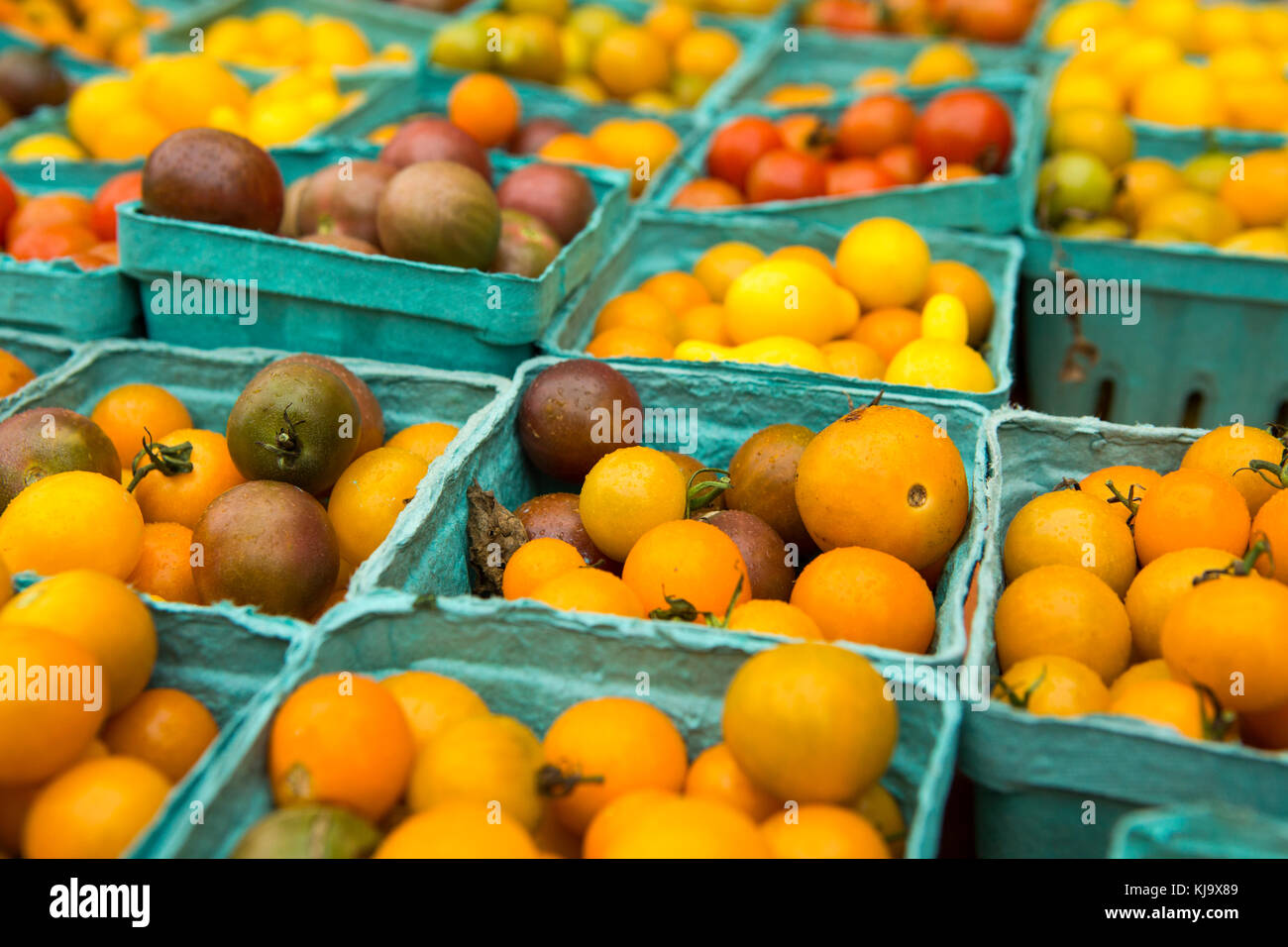Pomodori organico da un mercato locale Foto Stock