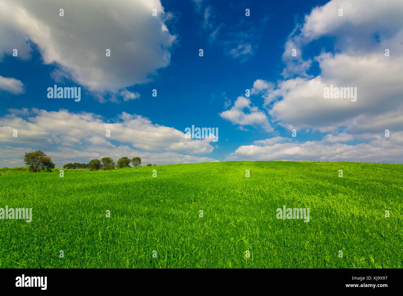 Bel paesaggio con un incredibile cielo blu e nuvole bianche Foto Stock