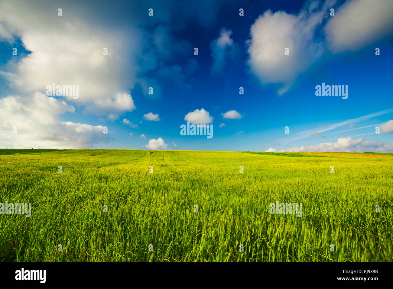 Bel paesaggio con un incredibile cielo blu e nuvole bianche Foto Stock