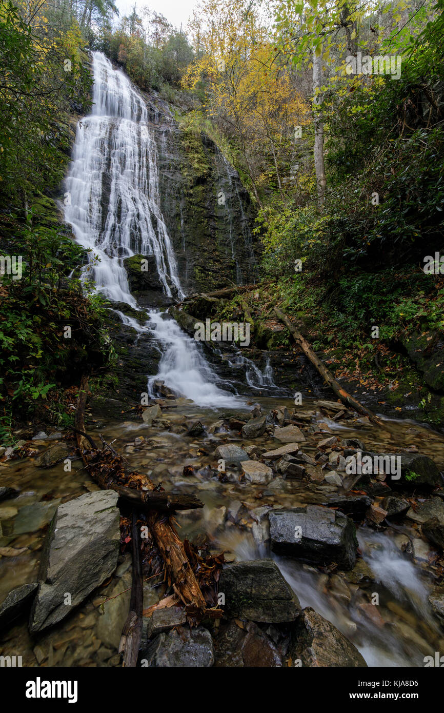 Mingo falls sono di circa 120 piedi alto e una delle cascate più elevato nel sud appalachians. Le cascate sono anche informalmente conosciuta come big bear falls, quale è il significato tradotto di mingo cade. Le cascate sono facilmente raggiungibili off big cove road fuori cherokee. L'escursione è solo .40 miglia, ma relativamente ripida lungo una scala il versante della montagna. Foto Stock