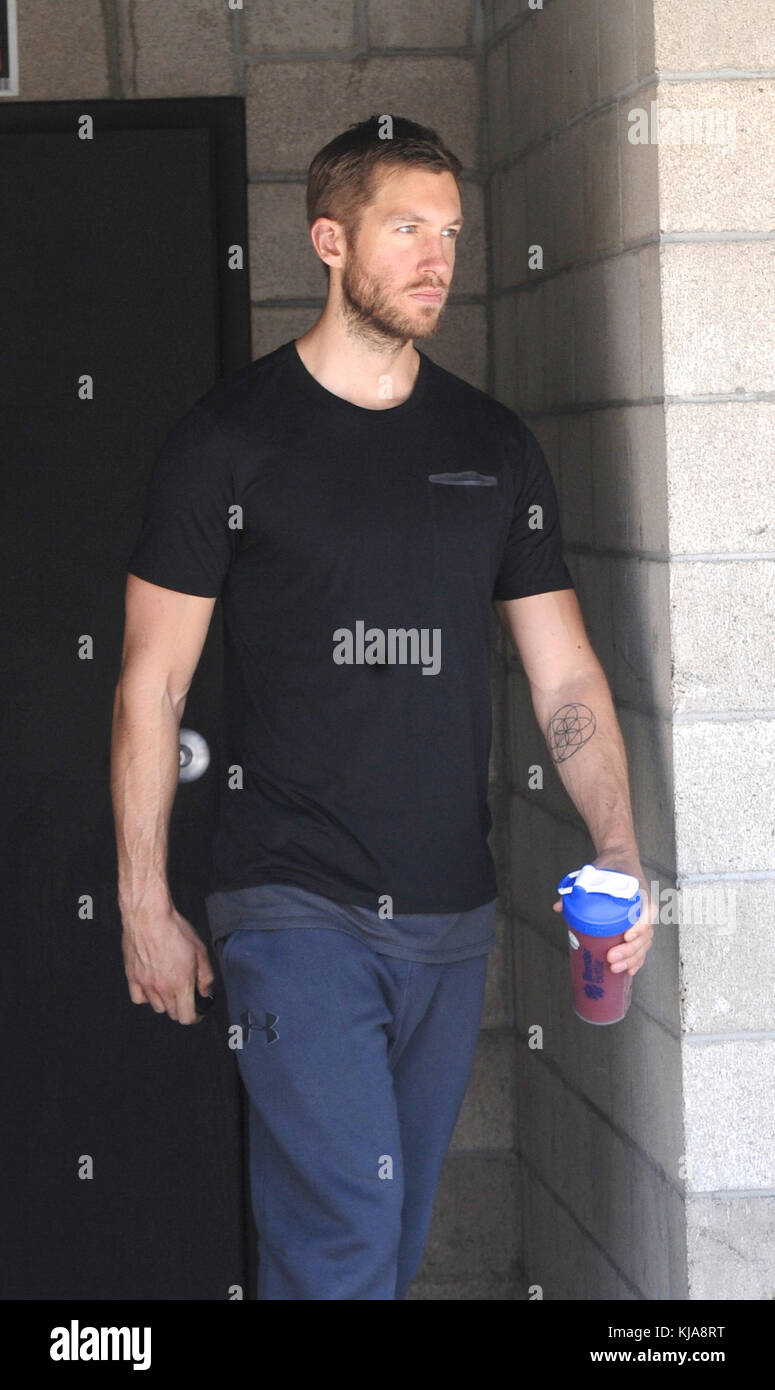 LOS ANGELES, CALIFORNIA - 23 GIUGNO: Calvin Harris colpisce la palestra dopo la sua separazione da Taylor Swift. Adam Richard Wiles, conosciuto professionalmente come Calvin Harris, è un DJ scozzese, produttore discografico, cantante, cantautore e remixer il 23 giugno 2016 a Los Angeles, California. Persone: Calvin Harris Foto Stock