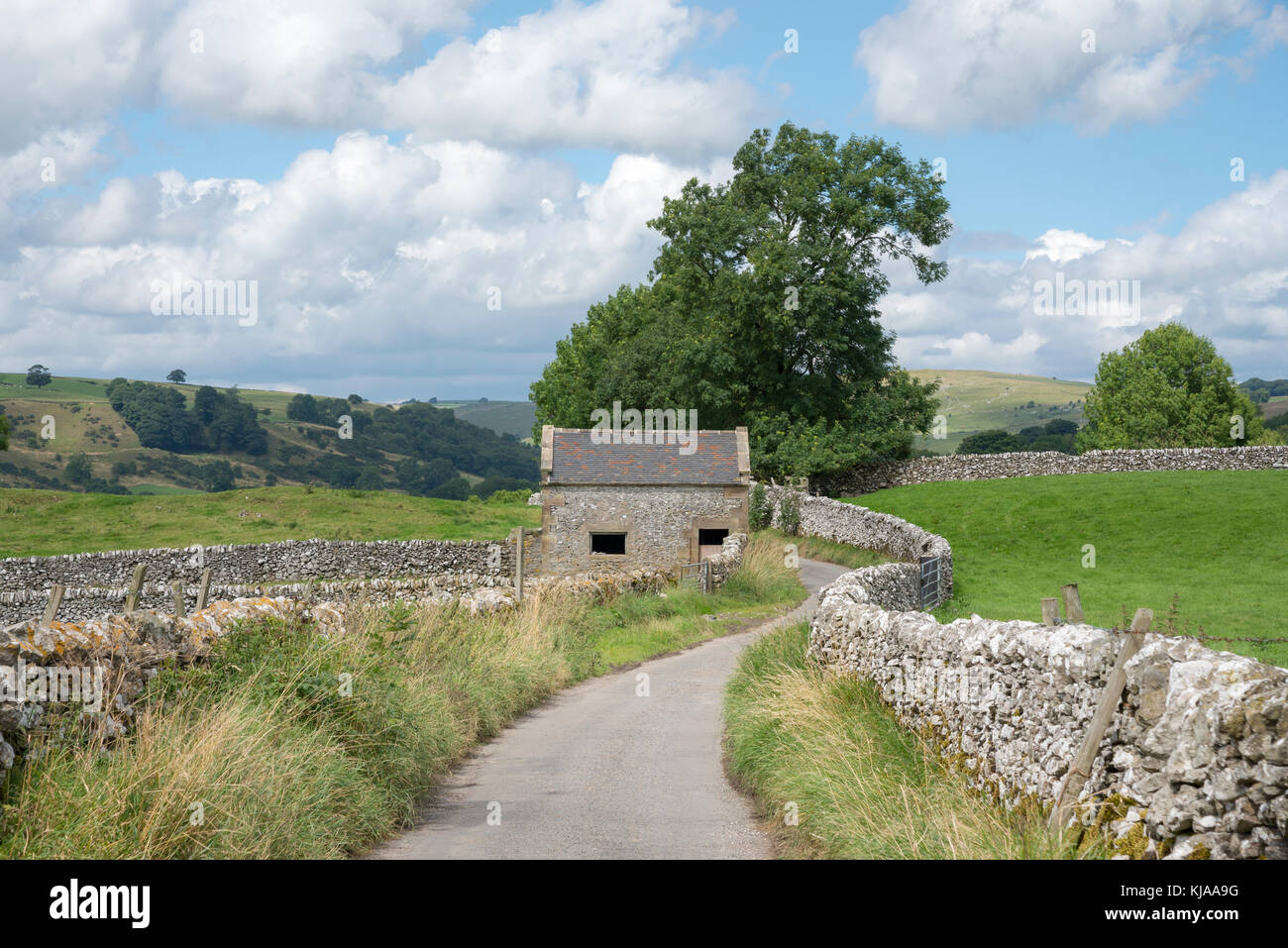 Tranquillo vicolo del paese vicino a Hartington nel picco bianco, Derbyshire, in Inghilterra. Foto Stock