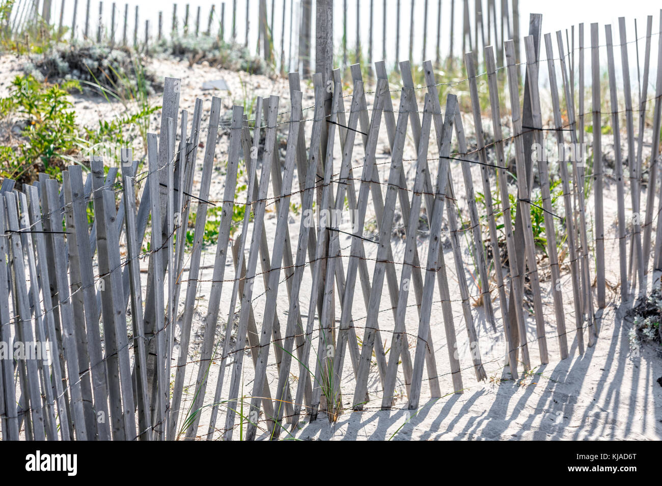 Spiaggia recinzioni in Southampton, NY Foto Stock