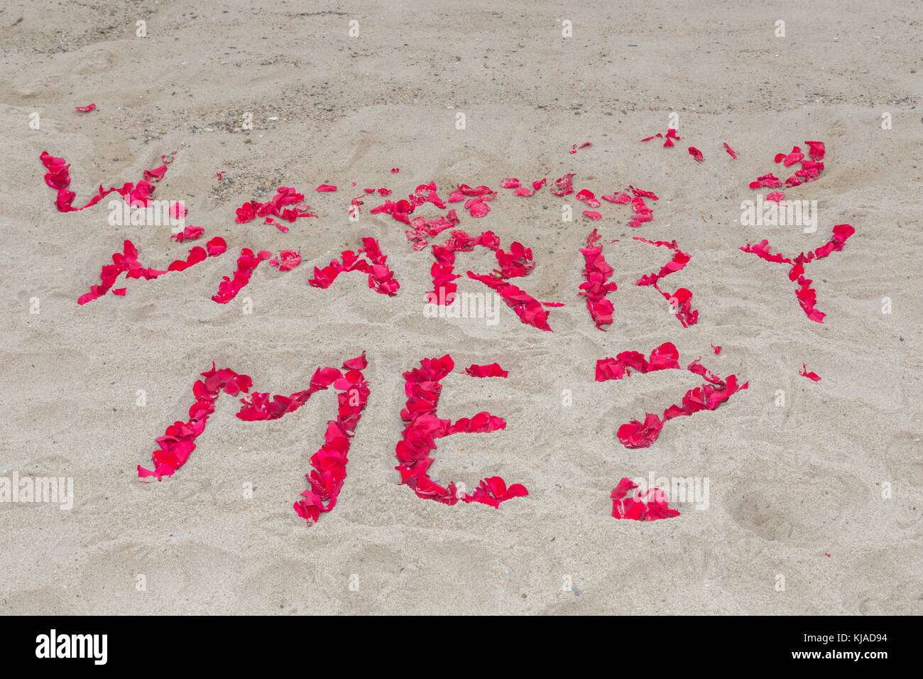 La questione marry me enunciato in petali di rosa su un oceano beach, montuak, NY Foto Stock