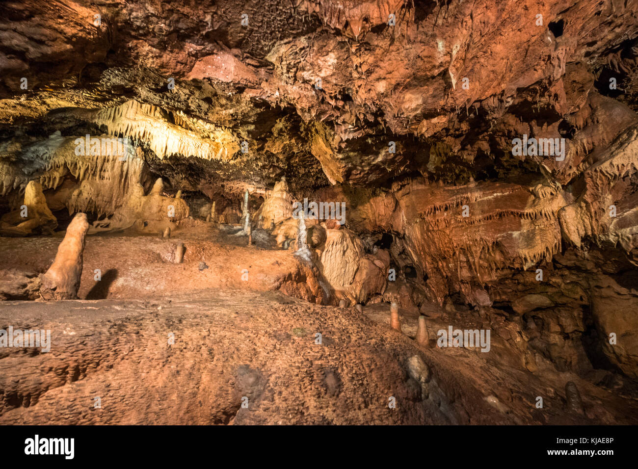 Stalagmite e stalattite nelle grotte preistoriche delle Kent Caverns nel Devon. Foto Stock