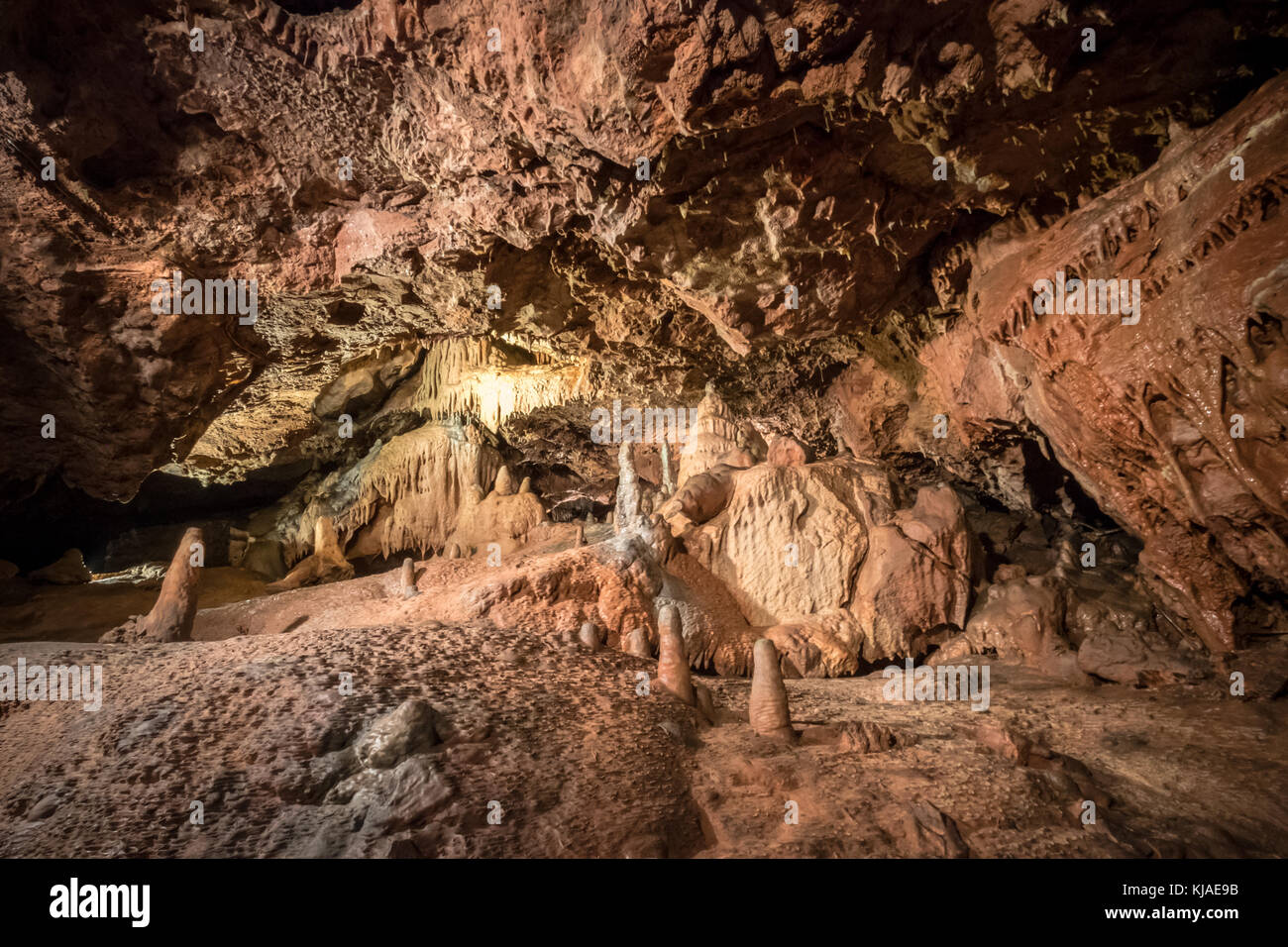 Stalagmite e stalattite nelle grotte preistoriche delle Kent Caverns nel Devon. Foto Stock